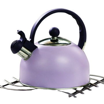 Whistling kettle - Boils on stove